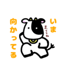 うしのモーモーさん（個別スタンプ：17）