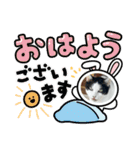 糸島の猫達（個別スタンプ：3）