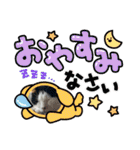 糸島の猫達（個別スタンプ：4）