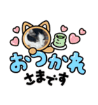 糸島の猫達（個別スタンプ：5）