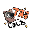 糸島の猫達（個別スタンプ：26）
