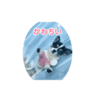 チョコ、空（個別スタンプ：3）