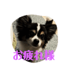 チョコ、空（個別スタンプ：6）