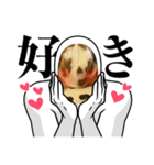 マッチョだったんです。うさぎのフッくん（個別スタンプ：5）