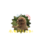 ぎんどんムービー（個別スタンプ：3）