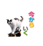 動く！踊る猫ミーム(パート23)（個別スタンプ：6）