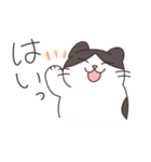 みかんねことふつうのねこスタンプ（個別スタンプ：1）
