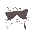 みかんねことふつうのねこスタンプ（個別スタンプ：3）