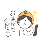 みかんねことふつうのねこスタンプ（個別スタンプ：6）