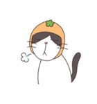 みかんねことふつうのねこスタンプ（個別スタンプ：10）