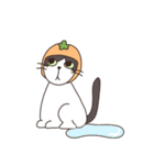 みかんねことふつうのねこスタンプ（個別スタンプ：17）