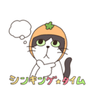 みかんねことふつうのねこスタンプ（個別スタンプ：23）