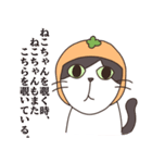 みかんねことふつうのねこスタンプ（個別スタンプ：24）