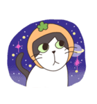 みかんねことふつうのねこスタンプ（個別スタンプ：25）