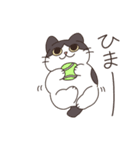 みかんねことふつうのねこスタンプ（個別スタンプ：27）