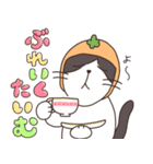 みかんねことふつうのねこスタンプ（個別スタンプ：29）