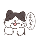 みかんねことふつうのねこスタンプ（個別スタンプ：33）