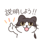 みかんねことふつうのねこスタンプ（個別スタンプ：37）