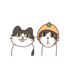 みかんねことふつうのねこスタンプ（個別スタンプ：39）