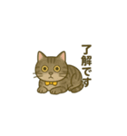 ウチの気まぐれ猫様（個別スタンプ：1）