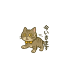 ウチの気まぐれ猫様（個別スタンプ：5）
