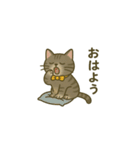 ウチの気まぐれ猫様（個別スタンプ：6）