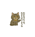 ウチの気まぐれ猫様（個別スタンプ：10）
