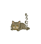 ウチの気まぐれ猫様（個別スタンプ：11）