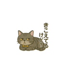 ウチの気まぐれ猫様（個別スタンプ：14）