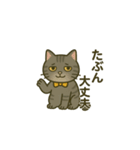 ウチの気まぐれ猫様（個別スタンプ：19）