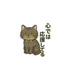 ウチの気まぐれ猫様（個別スタンプ：21）