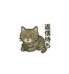 ウチの気まぐれ猫様（個別スタンプ：22）
