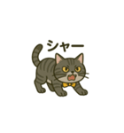 ウチの気まぐれ猫様（個別スタンプ：29）