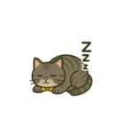 ウチの気まぐれ猫様（個別スタンプ：31）