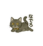 ウチの気まぐれ猫様（個別スタンプ：33）