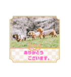 うらきらゆら（個別スタンプ：2）