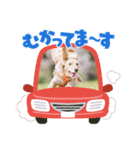 うらきらゆら（個別スタンプ：3）