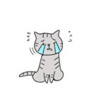 猫ちゃんのイラストあいさつvol.1（個別スタンプ：2）
