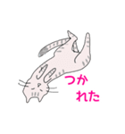 猫ちゃんのイラストあいさつvol.1（個別スタンプ：8）