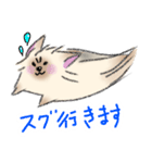 ヨーキーの使いやすいスタンプ★（個別スタンプ：3）