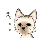 ヨーキーの使いやすいスタンプ★（個別スタンプ：5）