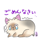 ヨーキーの使いやすいスタンプ★（個別スタンプ：7）