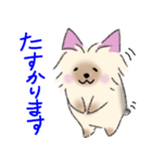 ヨーキーの使いやすいスタンプ★（個別スタンプ：8）