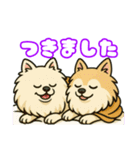 ポメラニアンズスタンプ（個別スタンプ：3）