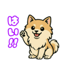 ポメラニアンズスタンプ（個別スタンプ：13）