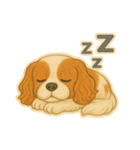 キャバリアのがんも③（個別スタンプ：7）