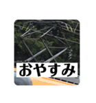 パンタグラフのスタンプPart2（個別スタンプ：4）