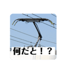 パンタグラフのスタンプPart2（個別スタンプ：18）