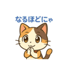 元気いっぱい♪三毛猫ミケたん（個別スタンプ：11）
