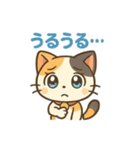 元気いっぱい♪三毛猫ミケたん（個別スタンプ：16）